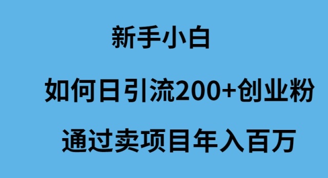 新手小白如何日引流200+创业粉通过卖项目年入百万 网赚 第1张