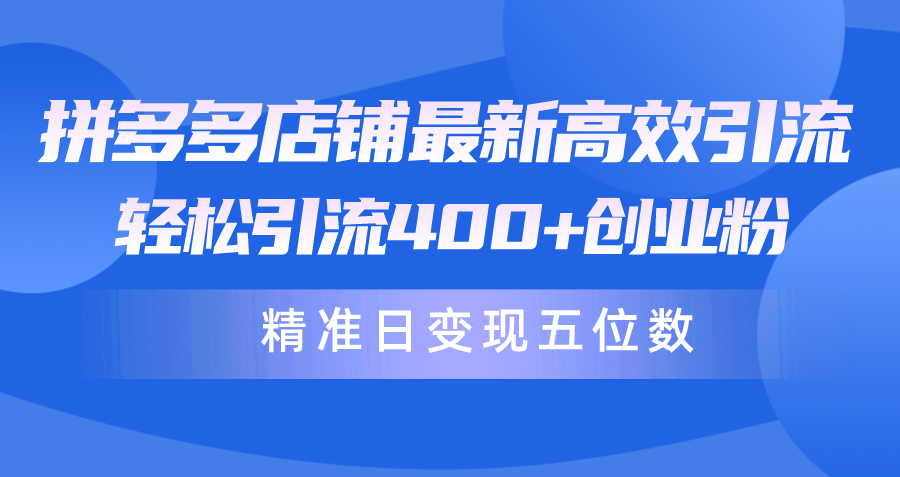 拼多多店铺最新高效引流术，轻松引流400+创业粉，精准日变现五位数！ 网赚 第1张