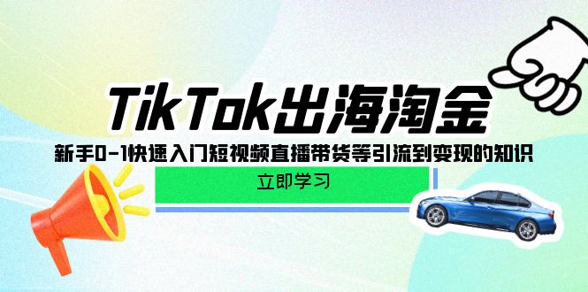 TikTok-出海淘金，新手0-1快速入门短视频直播带货等引流到变现的知识 网赚 第1张