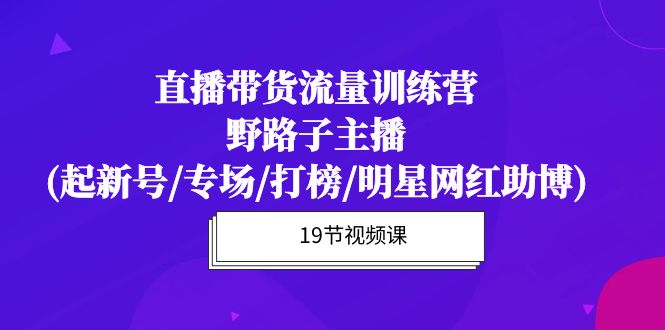 直播带货流量特训营，野路子主播(起新号/专场/打榜/明星网红助博)19节课 网赚 第1张