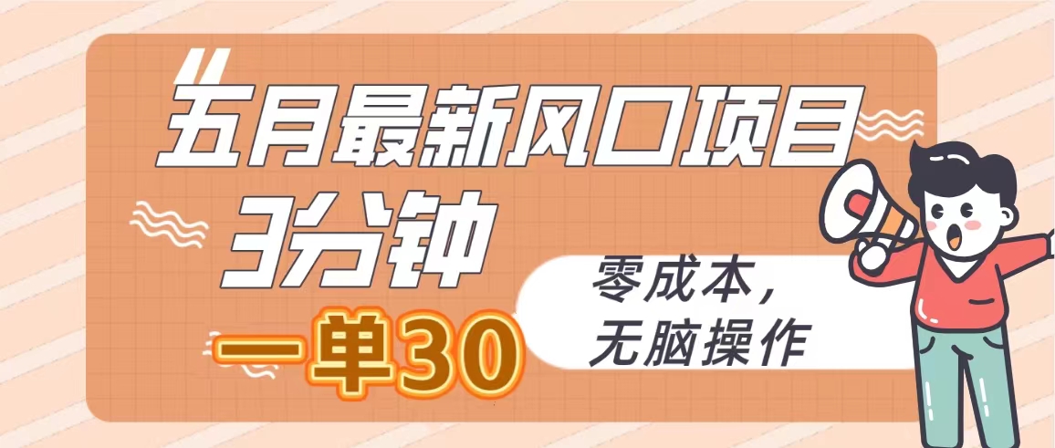 五月最新风口项目，3分钟一单30，零成本，无脑操作 网赚 第1张