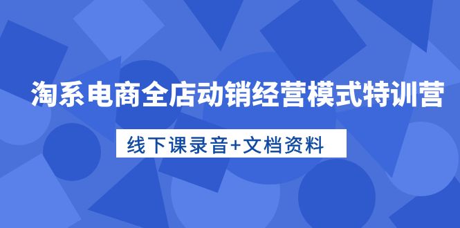 淘系电商全店动销经营模式特训营，线下课录音+文档资料 网赚 第1张