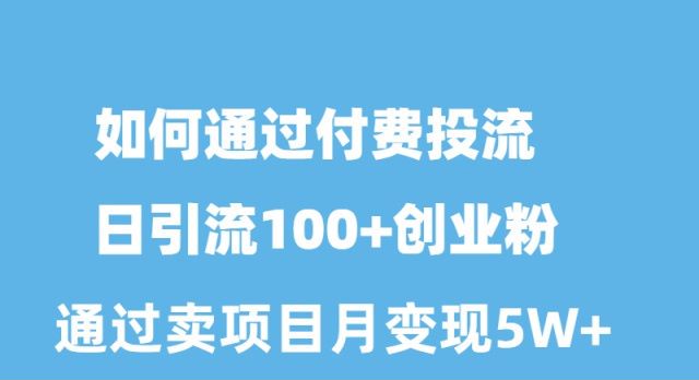 如何通过付费投流日引流100+创业粉月变现5W+ . 第1张