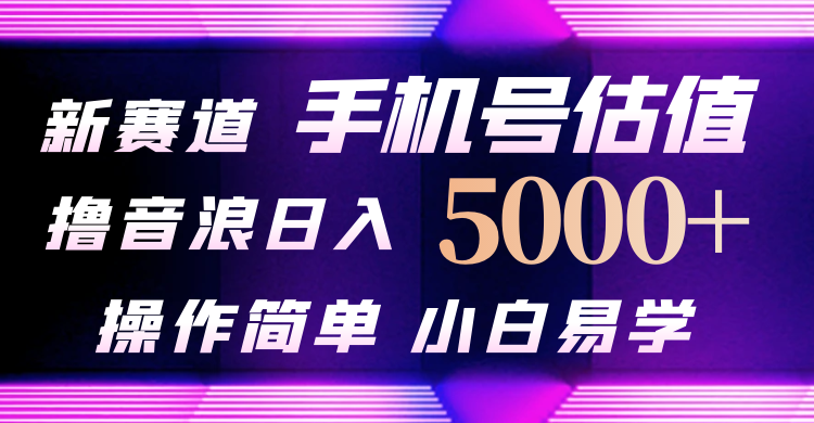 抖音不出境直播【手机号估值】最新撸音浪，日入5000+，简单易学，适合… 网赚 第1张