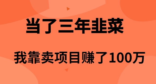 当了3年韭菜，我靠卖项目赚了100万 网赚 第1张