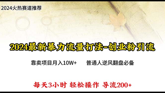 2024年最新暴力流量打法，每日导入300+，靠卖项目月入10W+ 网赚 第1张