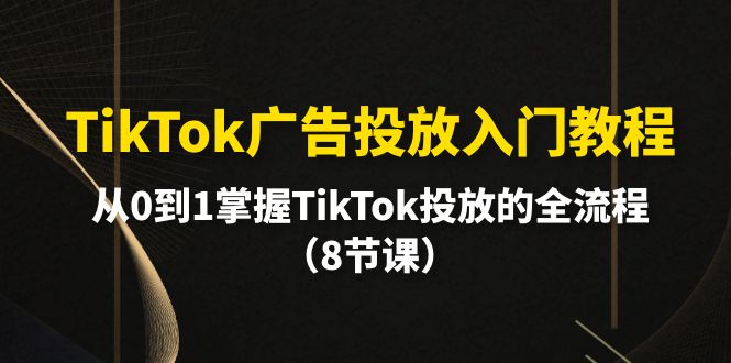 TikTok广告投放入门教程，从0到1掌握TikTok投放的全流程（8节课） 网赚 第1张