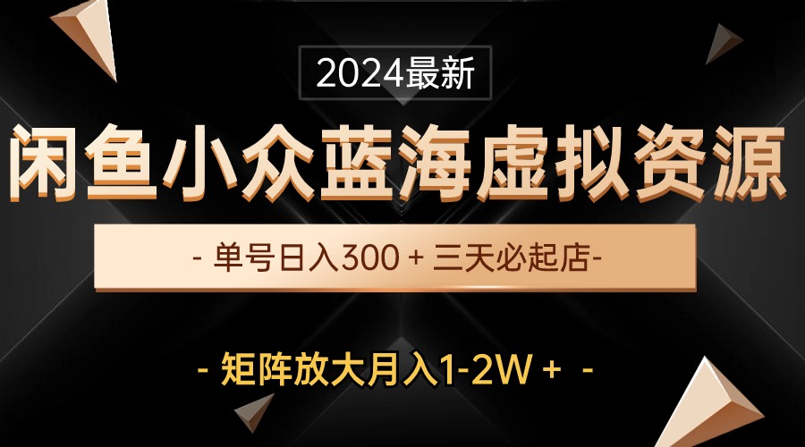 最新闲鱼小众蓝海虚拟资源，单号日入300＋，三天必起店，矩阵放大月入1-2W 网赚 第1张