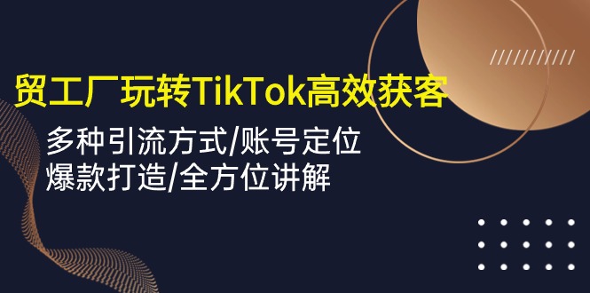 外贸工厂玩转TikTok高效获客，多种引流方式/账号定位/爆款打造/全方位讲解 网赚 第1张