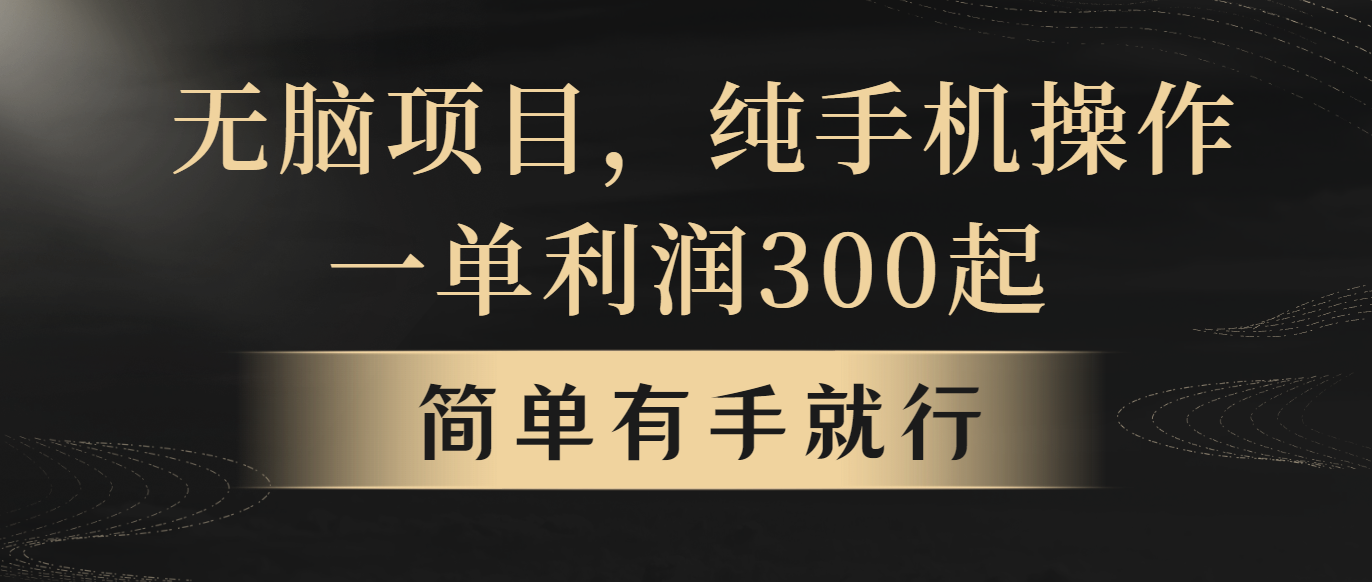 无脑项目，一单几百块，轻松月入5w+，看完就能直接操作 网赚 第1张