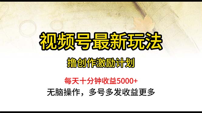 视频号最新玩法，每日一小时月入5000+ 网赚 第1张