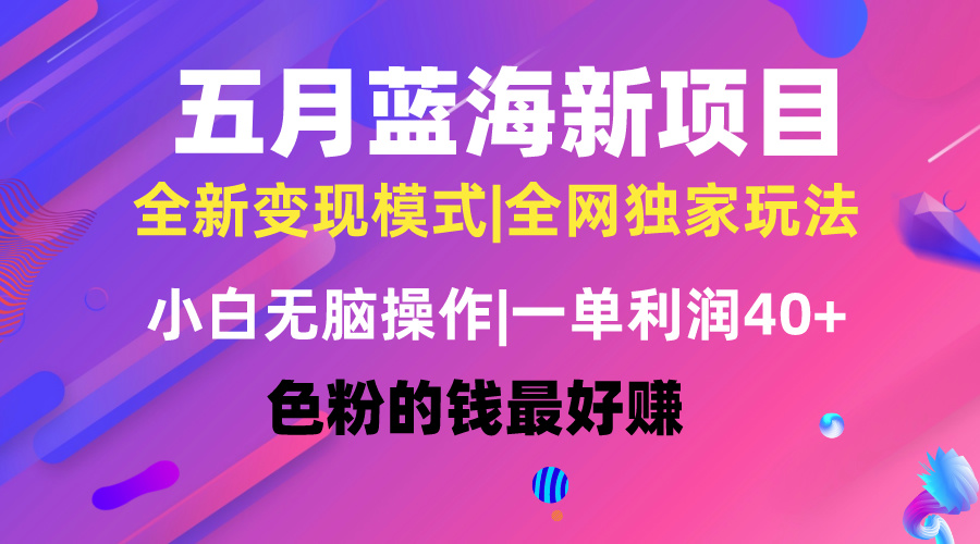 五月蓝海项目全新玩法，小白无脑操作，一天几分钟，矩阵操作，月入4万+ 网赚 第1张