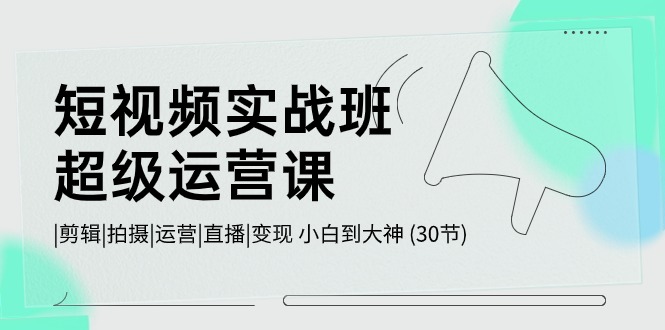 短视频实战班-超级运营课，|剪辑|拍摄|运营|直播|变现 小白到大神 (30节) 网赚 第1张