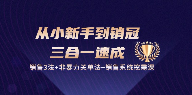 从小新手到销冠 三合一速成：销售3法+非暴力关单法+销售系统挖需课 (27节) 网赚 第1张