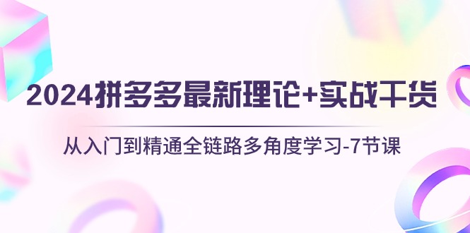 2024拼多多 最新理论+实战干货，从入门到精通全链路多角度学习-7节课 网赚 第1张