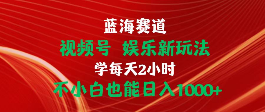 蓝海赛道视频号 娱乐新玩法每天2小时小白也能日入1000+ 网赚 第1张