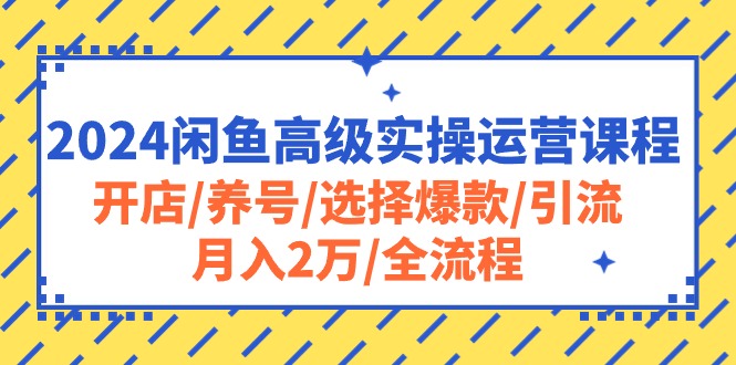 2024闲鱼高级实操运营课程：开店/养号/选择爆款/引流/月入2万/全流程 网赚 第1张