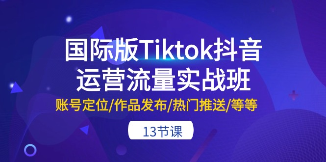 国际版Tiktok抖音运营流量实战班：账号定位/作品发布/热门推送/等等-13节 网赚 第1张