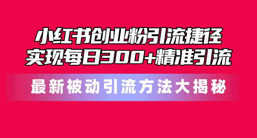 小红书创业粉引流捷径！最新被动引流方法大揭秘，实现每日300+精准引流 网赚 第1张