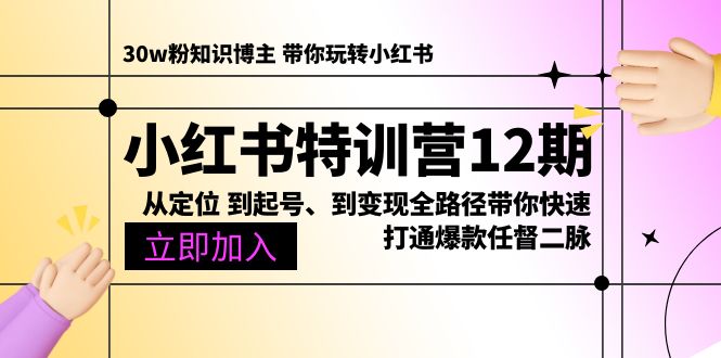 小红书特训营12期：从定位 到起号、到变现全路径带你快速打通爆款任督二脉 网赚 第1张