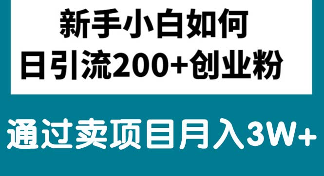 新手小白日引流200+创业粉,通过卖项目月入3W+ 网赚 第1张