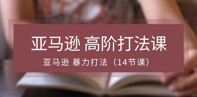 亚马逊 高阶打法课，亚马逊 暴力打法（14节课） 网赚 第1张