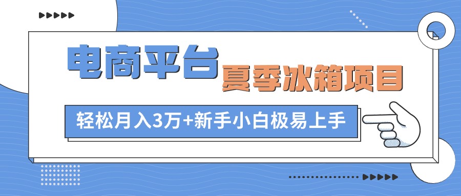 （10934期）电商平台夏季冰箱项目，轻松月入3万+，新手小白极易上手 网赚 第1张