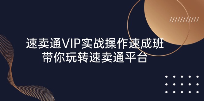 速卖通 VIP实战操作-速成班，带你玩转速卖通平台（23节） 网赚 第1张