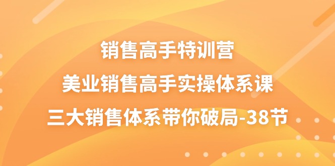 销售-高手特训营，美业-销售高手实操体系课，三大销售体系带你破局-38节