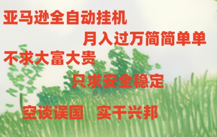 亚马逊全自动浏览挂机 网赚 第1张