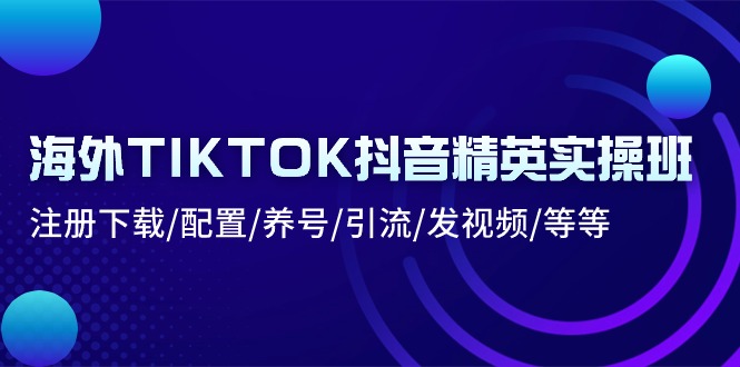 海外TIKTOK抖音精英实操班：注册下载/配置/养号/引流/发视频/等等 网赚 第1张