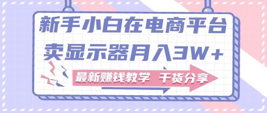 新手小白如何做到在电商平台卖显示器月入3W+，最新赚钱教学干货分享 网赚 第1张