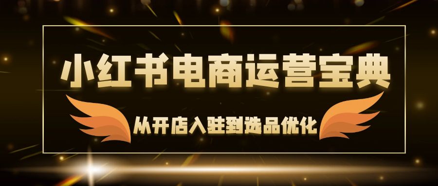 小红书电商运营宝典：从开店入驻到选品优化，一站式解决你的电商难题 网赚 第1张