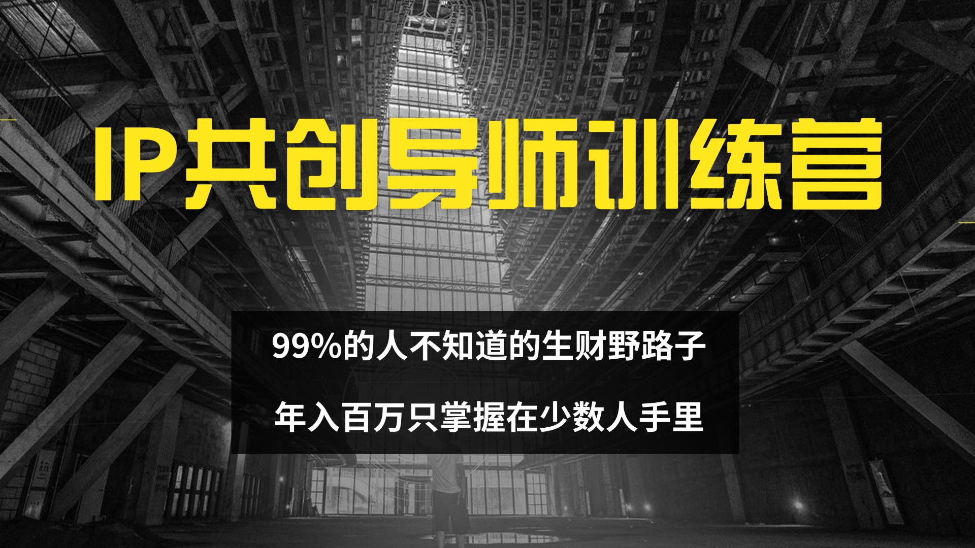 IP共创导师训练营 99%的人不知道的生财野路子 只掌握在少数人手里