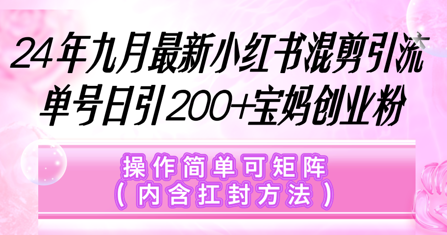 小红书混剪引流，单号日引200+宝妈创业粉，操作简单可矩阵（内含扛封… 网赚 第1张