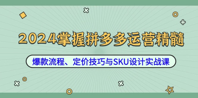 2024掌握拼多多运营精髓：爆款流程、定价技巧与SKU设计实战课 网赚 第1张