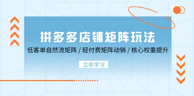 拼多多店铺矩阵玩法：低客单自然流矩阵 / 轻付费矩阵 动销 / 核心权重提升