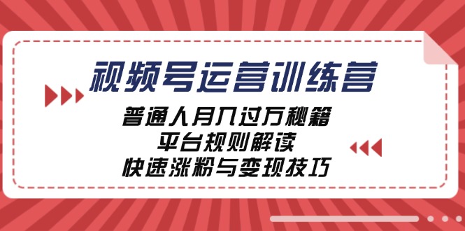 视频号运营训练营：普通人月入过万秘籍，平台规则解读，快速涨粉与变现… 网赚 第1张