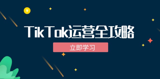 TikTok实战运营全攻略：从下载软件到变现，抖音海外版实操教程 网赚 第1张