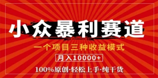 视频号最新爆火赛道，三种可收益模式，0粉新号条条原创条条热门 日入1000+ 网赚 第1张