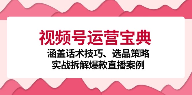 视频号运营宝典：涵盖话术技巧、选品策略、实战拆解爆款直播案例 网赚 第1张