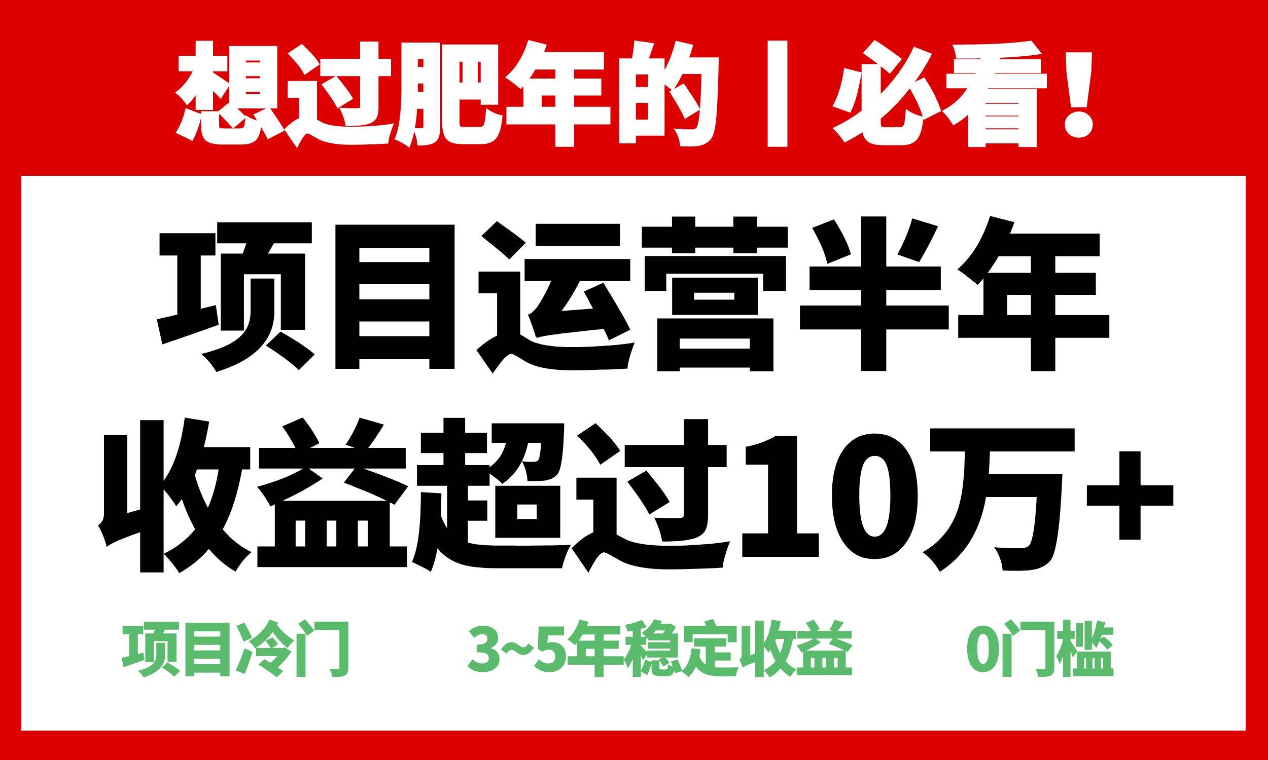 年前过肥年的必看的超冷门项目，半年收益超过10万+，